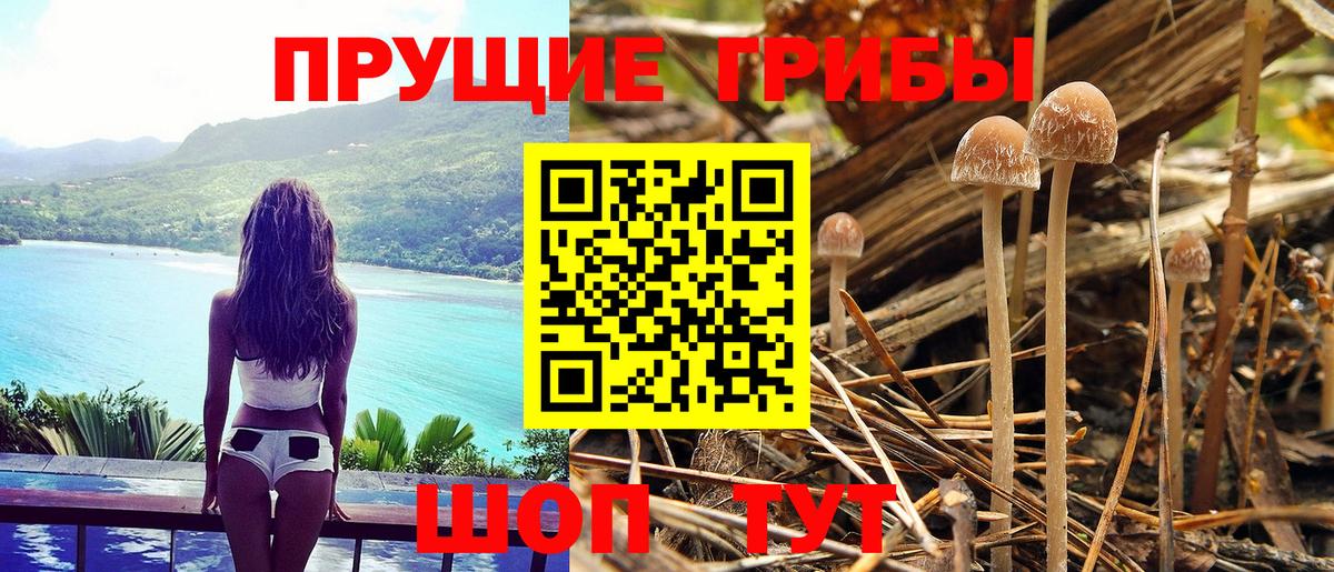 МЕФ   Alpha-PVP СОЛЬ кристаллы  Брянск  Вход с VPN  Марихуана  Гашиш  Cocaine 