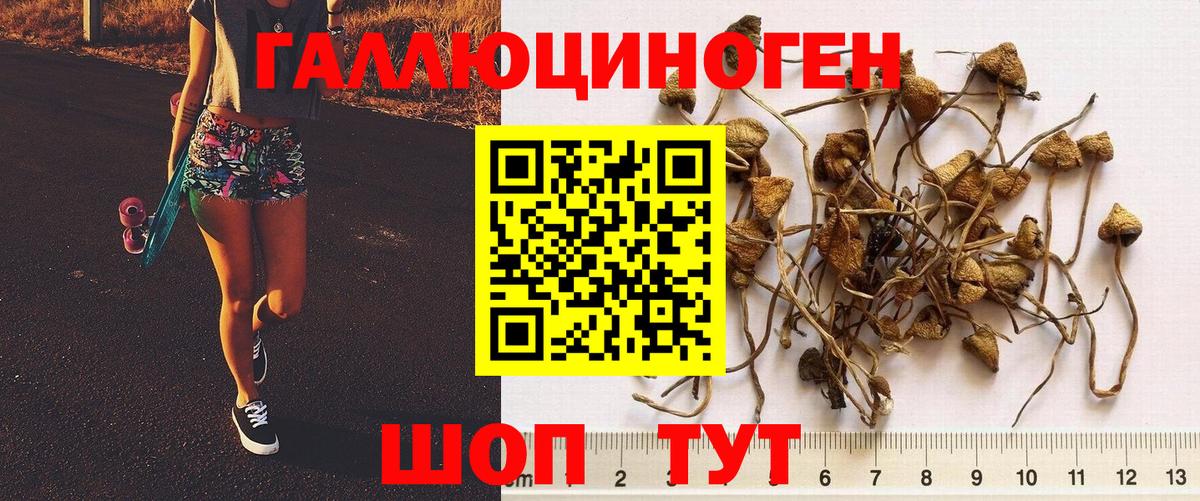 Галлюциногенные грибы мухоморы  Вход с VPN  Брянск 